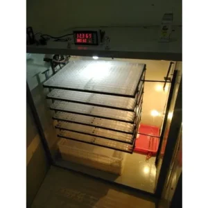 1000 Eggs Capacity Poultry incubator