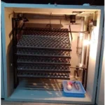 1010 Eggs Capacity Incubator