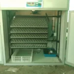 1010 Eggs Capacity Hatchery Machine