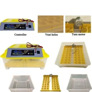 Metro Impex 48 Eggs Capacity Incubator Machine